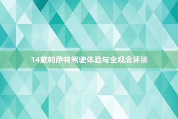 14款帕萨特驾驶体验与全观念评测